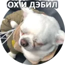 Стикер Fawning