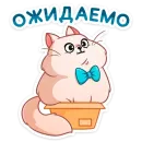 Стикер Барон Симон