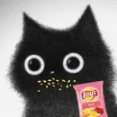 Стикер Based Cat