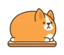 Стикер belly corgi