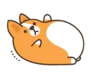 Стикер belly corgi