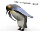 Бесишь меня