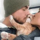 Стикер Funny Cats