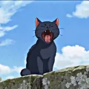 Стикер Black Moods