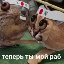 БЛОПТОП 3D 3.0