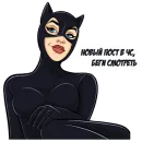 Стикер Cat Women