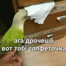 Стикер Я орал, меня ловили