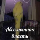 Стикер Я орал, меня ловили