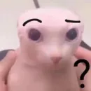 Стикер бингус и другие