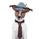 Стикер Dogs