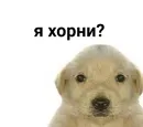 Стикер бред