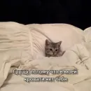 Стикер бред