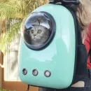 Стикер Broken Cats 2