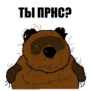 Стикер budurabotatzaedu