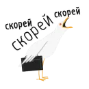 Стикер paniс_chaika