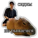 Стикер Бустер