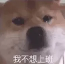 Стикер 😂爆笑😂乐园👉