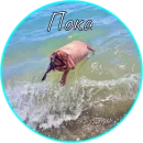 Стикер А чё?