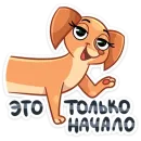 Стикер Бусинка