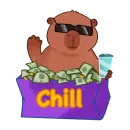 Стикер capybara