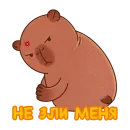 Стикер capybara