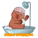 Стикер capybara