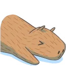 Стикер Capybara&Co