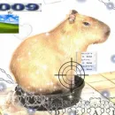 Стикер capybara