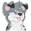 Стикер Cashmere