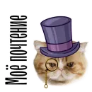 Стикер cat channel