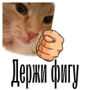 Стикер cat channel