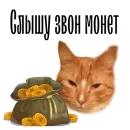Стикер cat channel