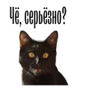 Стикер cat channel meow 2