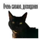 Стикер cat channel meow 2