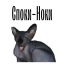 Стикер cat channel meow 2