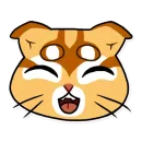 Стикер katifnah