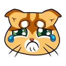 Стикер katifnah