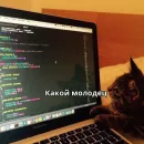 Котики ревьюверы