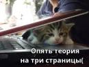 Стикер Котики ревьюверы
