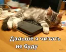 Стикер Котики ревьюверы