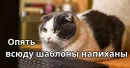 Стикер Котики ревьюверы
