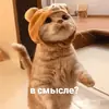 Стикер котики и мы