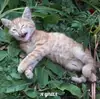 Коты на каждый день ?