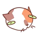 Cat Motions without text
