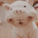 Стикер cats