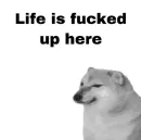Memes