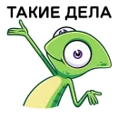 Чамс