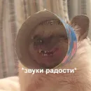 Стикер Angry