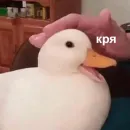Стикер Angry