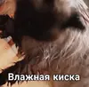Стикер Черномырдин